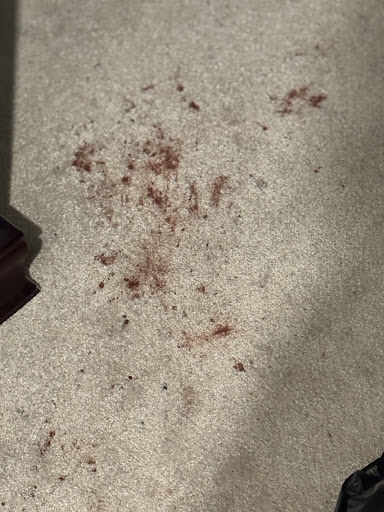 Photo from customer review